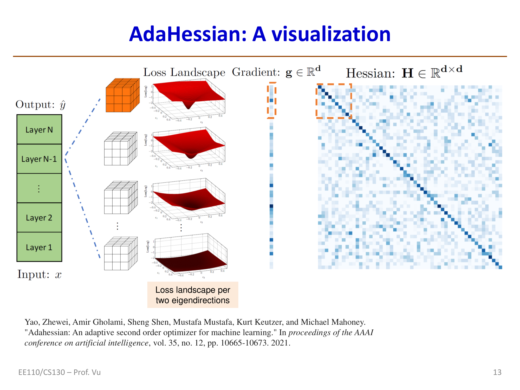 AdaHessian可视化：每层的损失曲面和Hessian结构